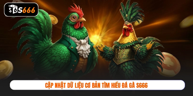 Cập nhật dữ liệu cơ bản tìm hiểu Đá gà S666