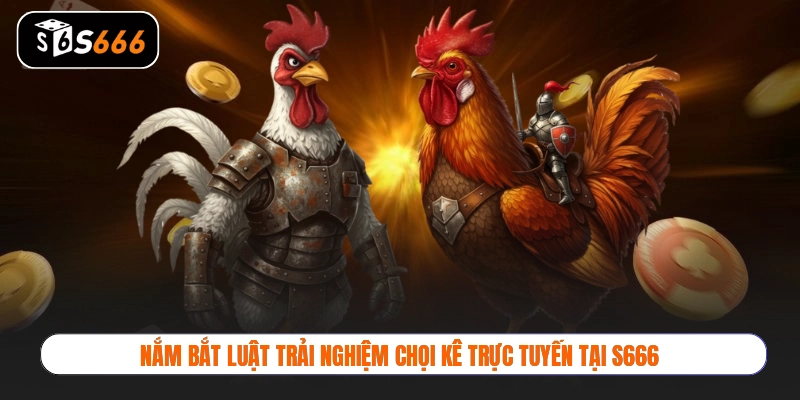 Nắm bắt luật trải nghiệm chọi kê trực tuyến tại S666