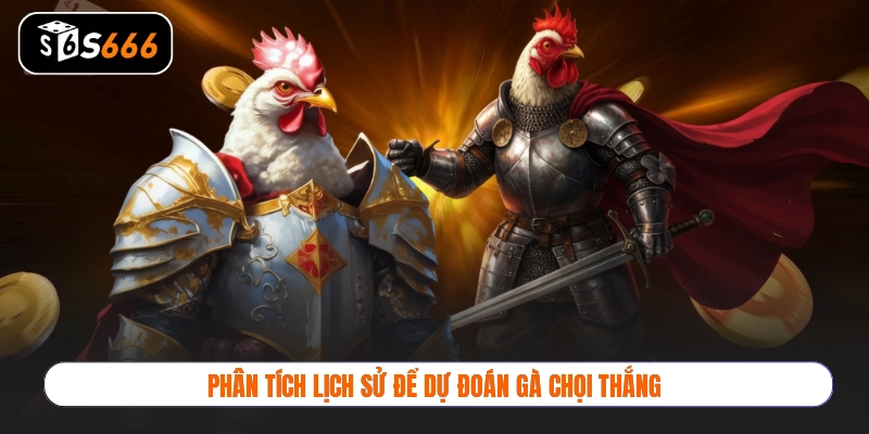 Phân tích lịch sử để dự đoán gà chọi thắng