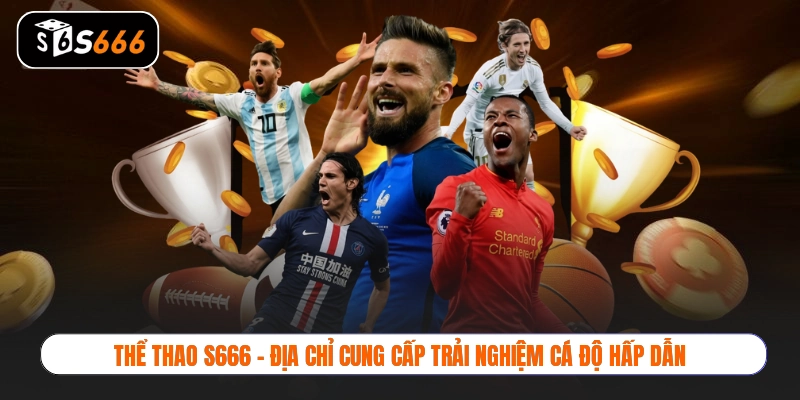 Thể thao S666 - Địa chỉ cung cấp trải nghiệm cá độ hấp dẫn